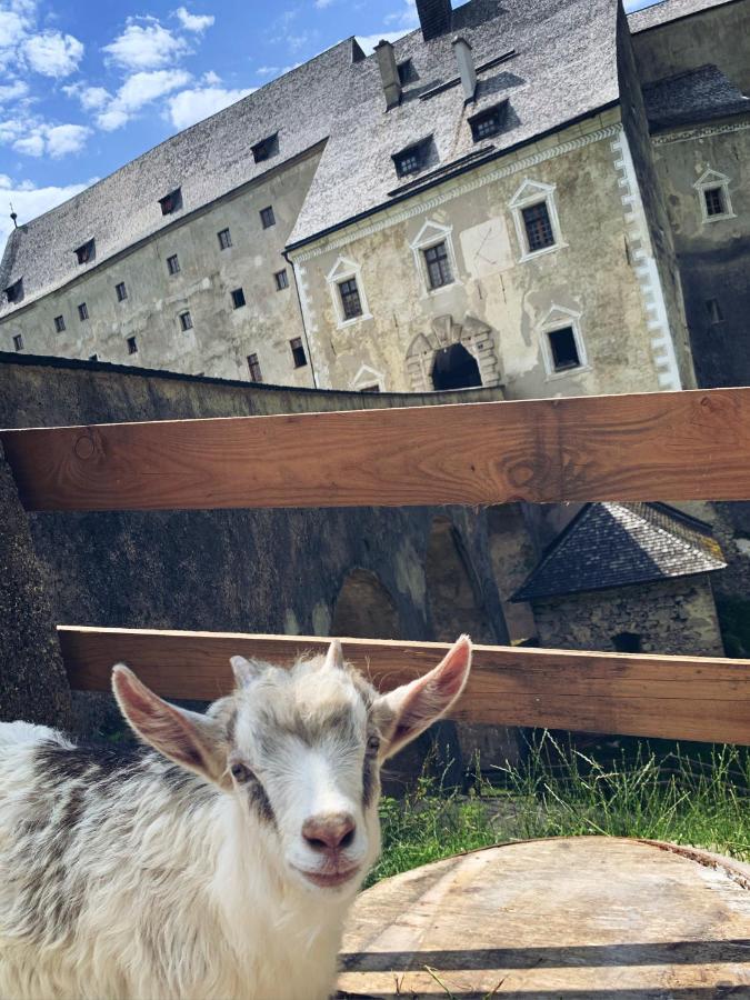ホテル Burg Altpernstein Micheldorf in Oberösterreich エクステリア 写真