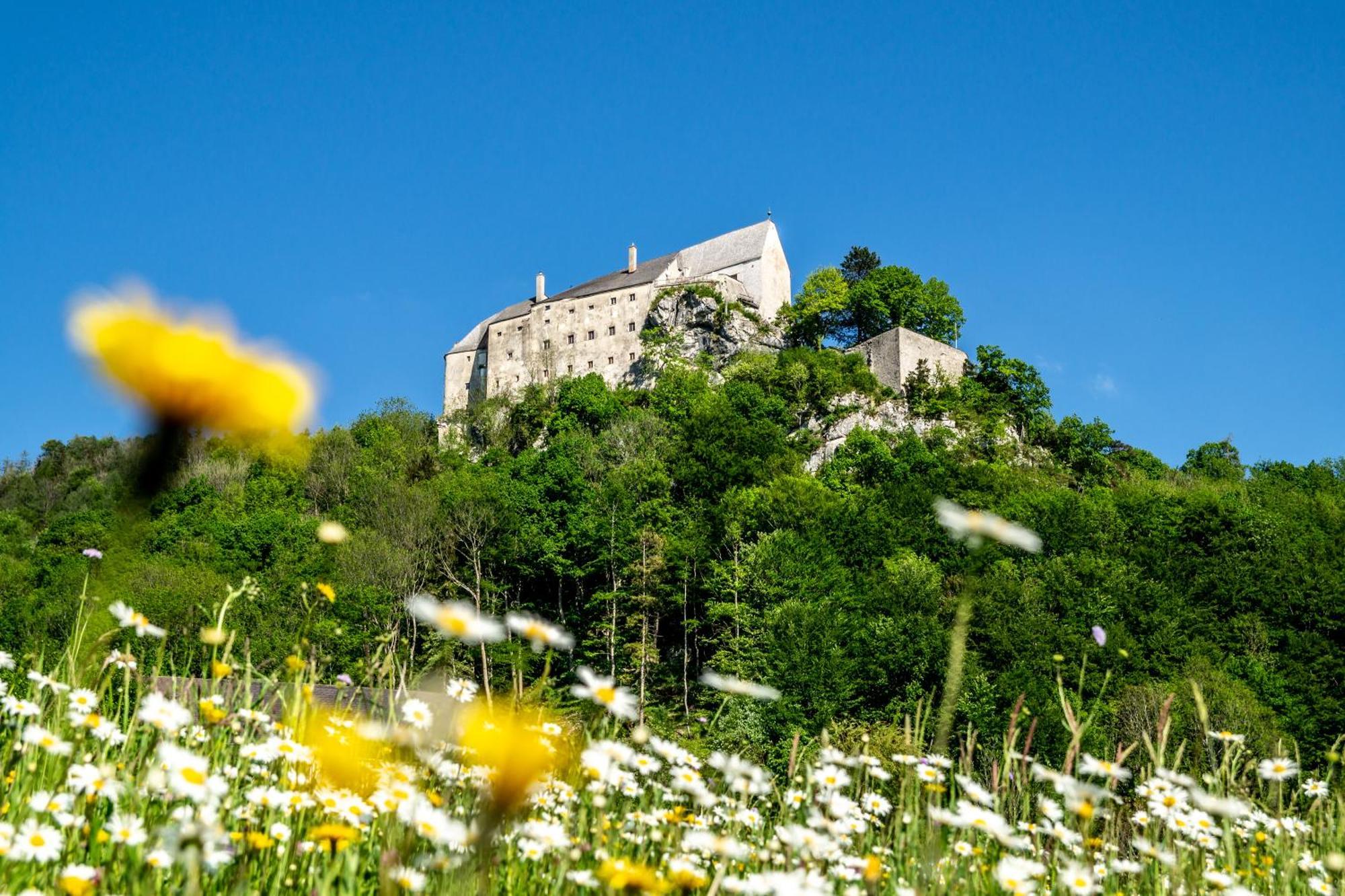 ホテル Burg Altpernstein Micheldorf in Oberösterreich エクステリア 写真