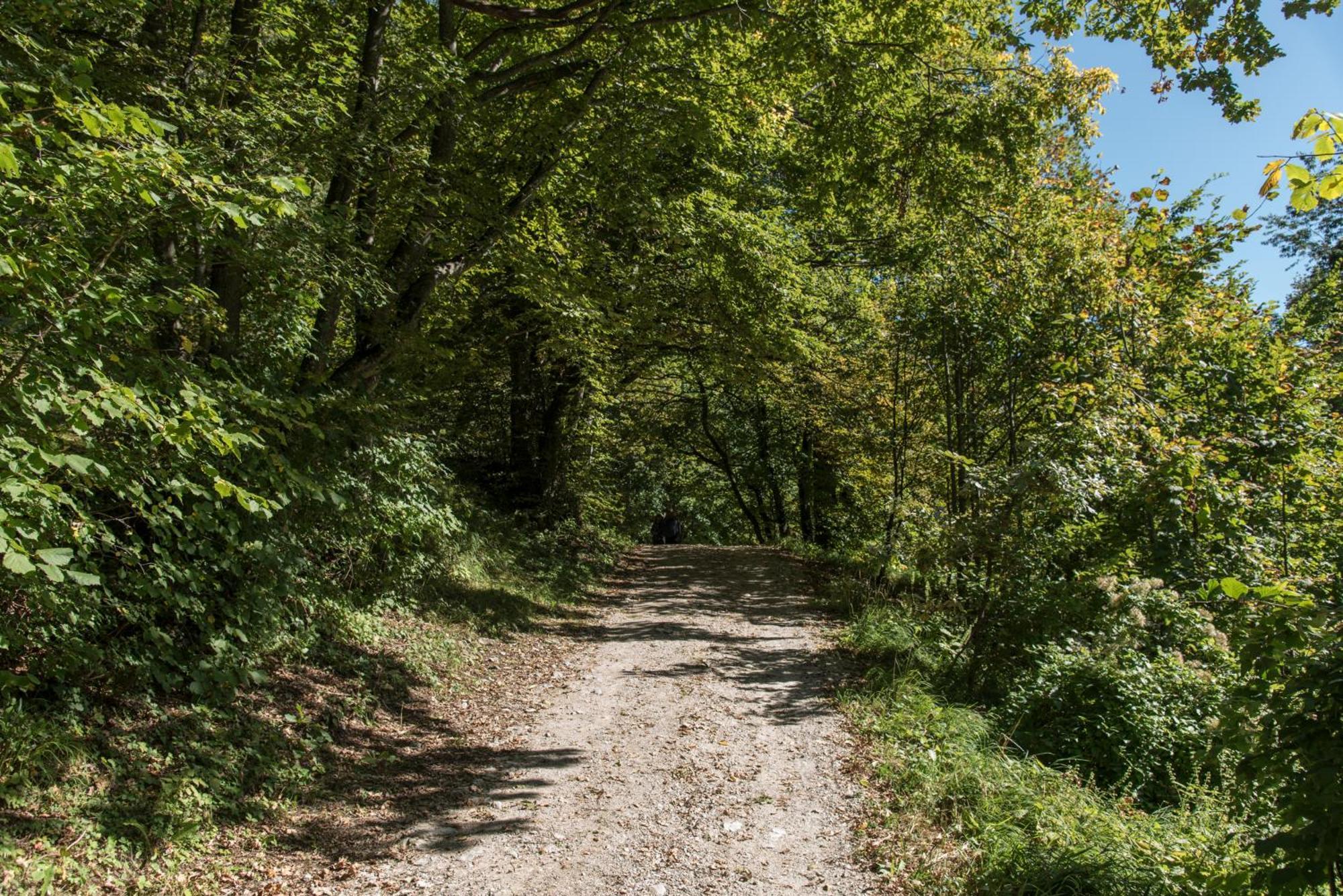 ホテル Burg Altpernstein Micheldorf in Oberösterreich エクステリア 写真